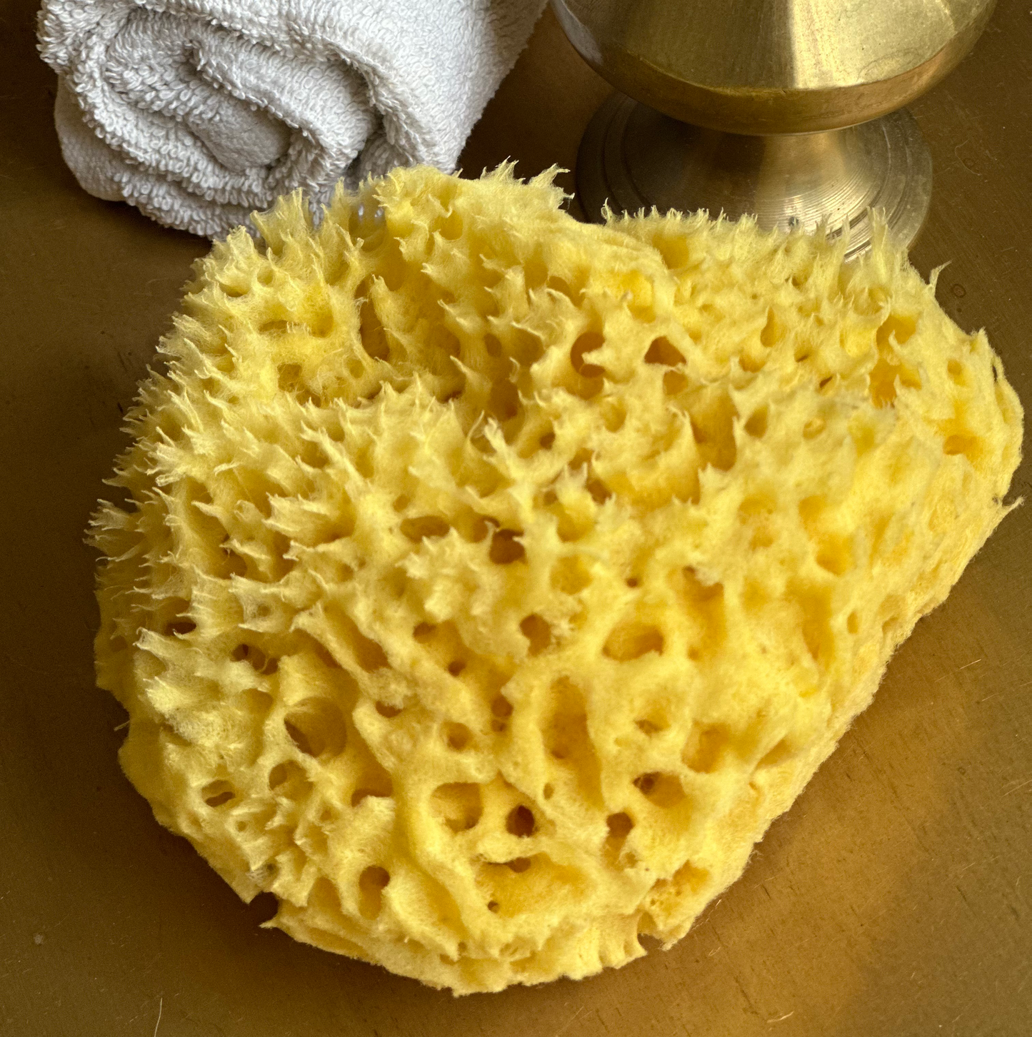 Raw bath sponge